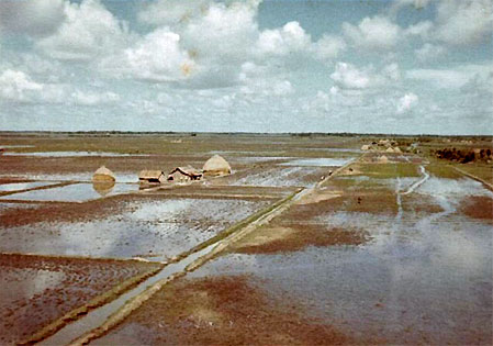 Monsoon Season in the Delta