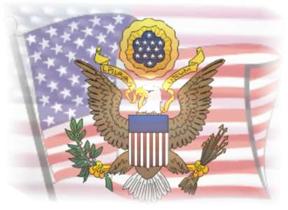American Eagle Graphic